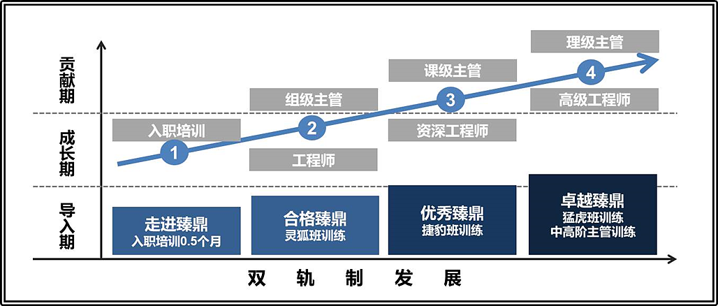 <p>理级主管</p> <p>K渔照</p> <p>课级主管</p> <p>组级主管</p> <p>3</p> <p>高级工程师</p> <p>入职培训</p> <p>2</p> <p>名华照</p> <p>资深工程师</p> <p>工程师</p> <p>卓越臻鼎</p> <p>帅之照</p> <p>合格臻鼎</p> <p>优秀臻鼎</p> <p>走进臻鼎</p> <p>猛虎班训练</p> <p>灵狐班训练</p> <p>捷豹班训练</p> <p>中高阶主管训练</p> <p>入职培训0.5个月</p> <p>双轨制发展</p>